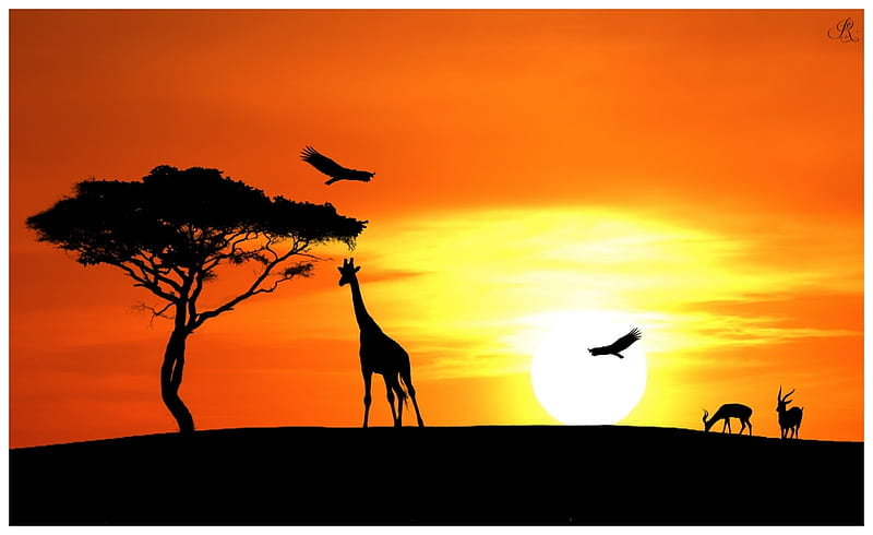 kenya